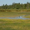 Kanutrip Naturreservat Sporting Lake_55